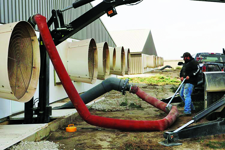 pumping with Mass Agitation System