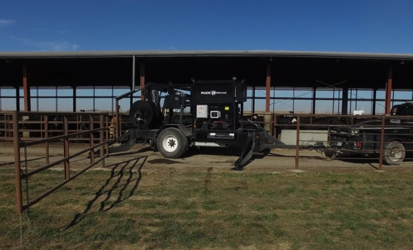 Puck Agi Cornell at a cattle barn