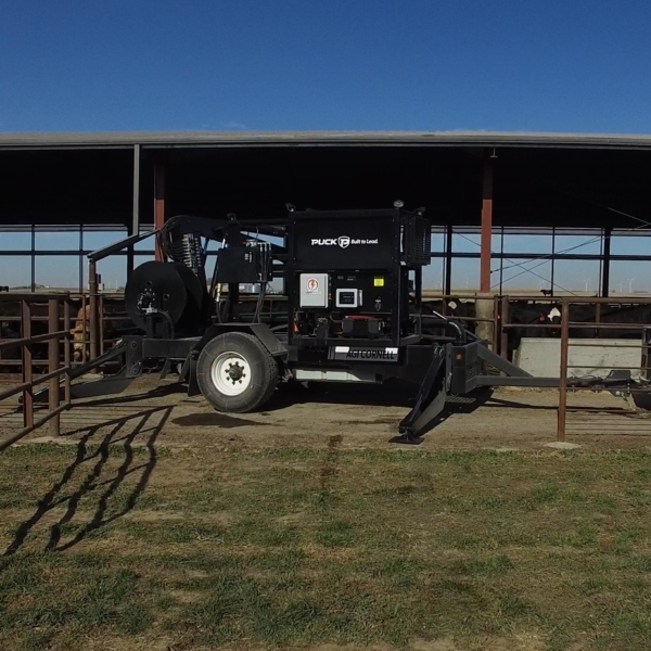 Puck Agi Cornell at a cattle barn