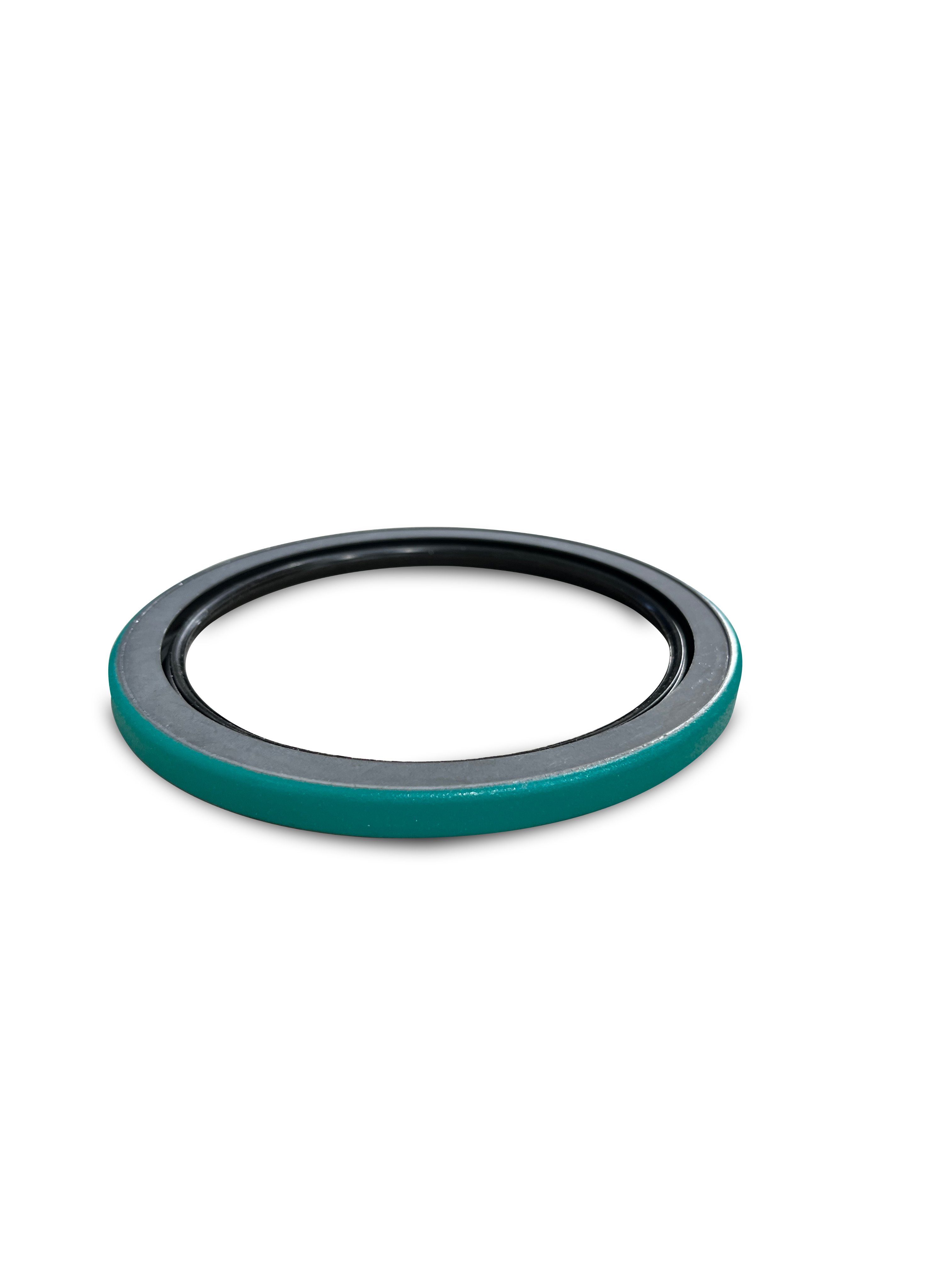 lip seal