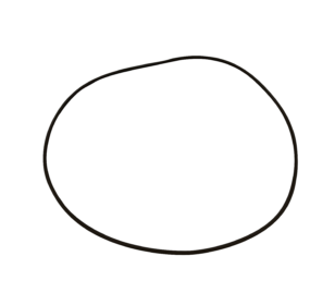 O-ring