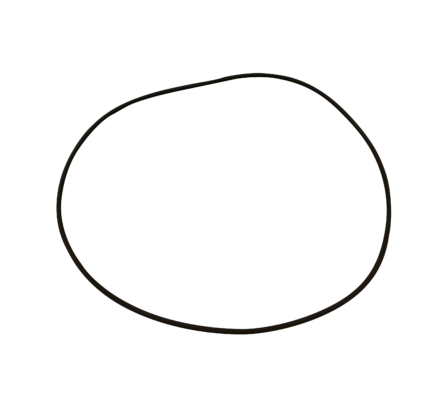 O-ring